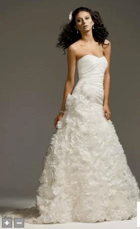 Bargain Blast David's Bridal David's Bridal Signature SV415 Size 6