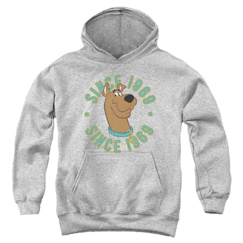 Weekend Deal Scooby Doo Kids Hoodie Since 1969 Athletic Heather Hoody