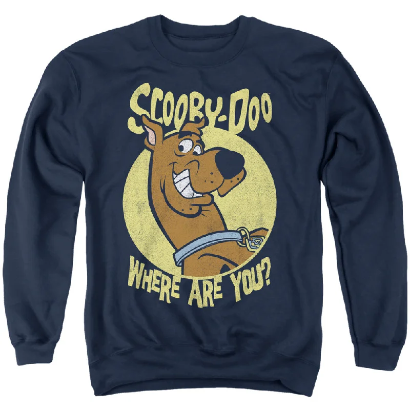 Sneak Peek Sale Scooby Doo Sweatshirt Where Are You Navy Pullover